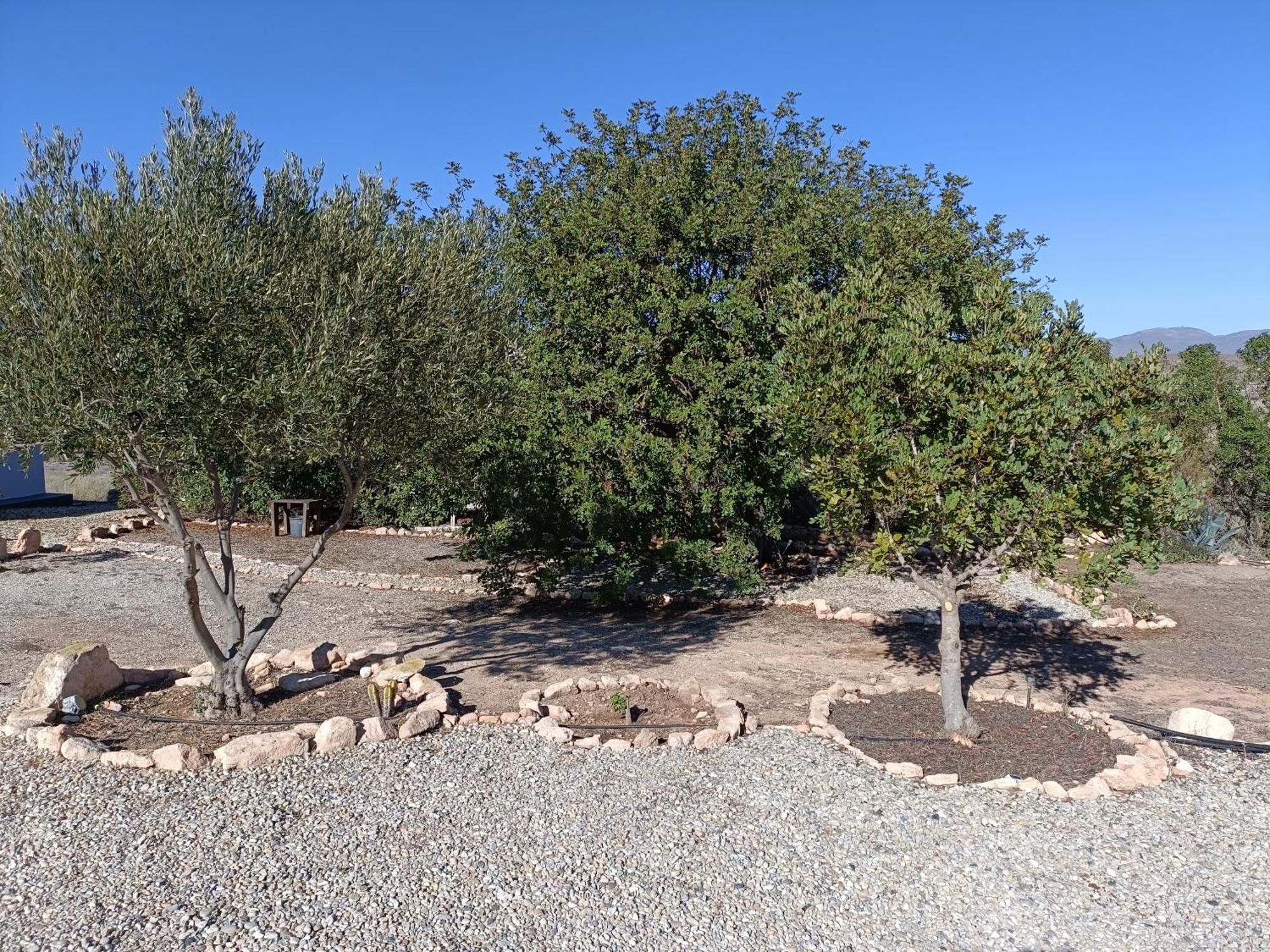 El Cerrillo Villa Agua Amarga  Exterior foto